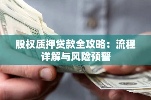 北京股权质押贷款全攻略：流程详解与风险预警