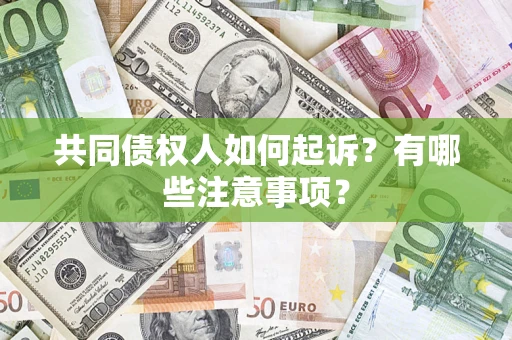 北京共同债权人如何起诉？有哪些注意事项？